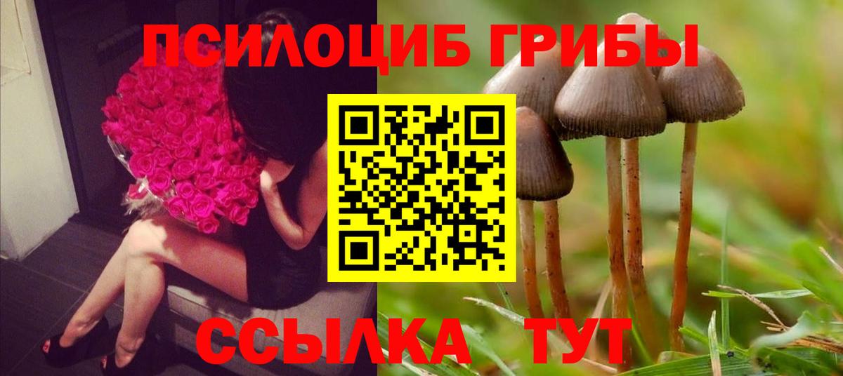 Галлюциногенные грибы прущие грибы  Вход с VPN  где купить наркоту  Кировск 